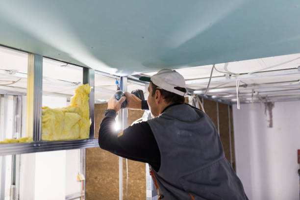 Best Insulation Installation Services in Dubuque, IA