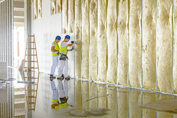 Best Residential Insulation in Dubuque, IA